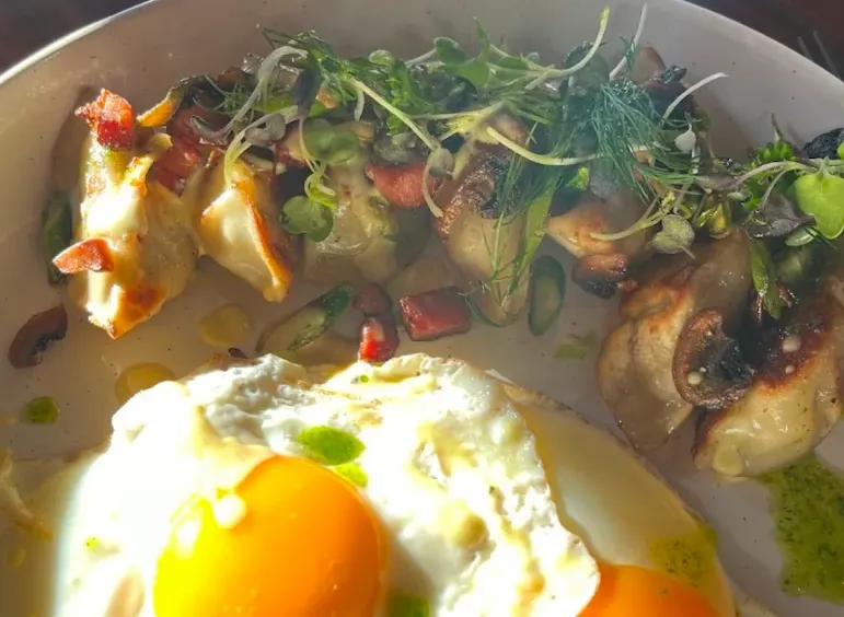 Delicious chicken gyoza in Airdrie, AB